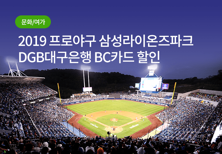 문화/여가 | 2019 프로야구 삼성라이온즈파크 DGB대구은행 BC카드 할인