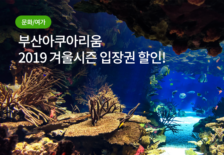 문화/여가 | 부산아쿠아리움 2019 겨울시즌 입장권 할인!
