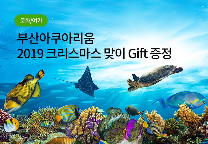 문화/여기 | 부산아쿠아리움 2019 크리스마스 맞이 Gift 증정